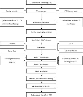 Development of a core outcome set for cardiovascular diabetology: a methodological framework